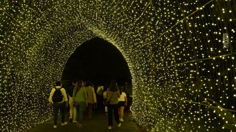 Invitan a vivir la "Navidad en el Botánico" y disfrutar de las luces en el Jardín