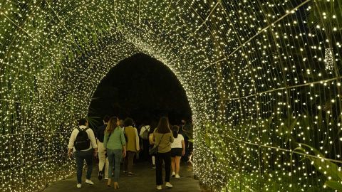 Navidad en el Botánico es visitada por 82 mil personas