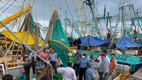 Secretaría de Pesca y Acuacultura contará con 14 MDP para inspección y vigilancia en veda de Camarón
