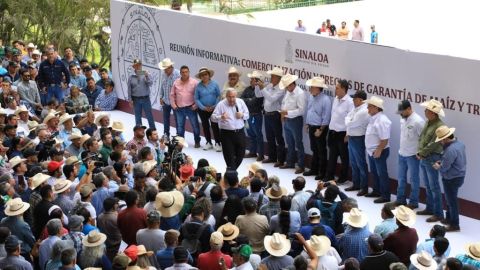 Reitera Rocha: comprará Segalmex hasta 2 millones de toneladas de maíz y se compromete a gestionar el resto