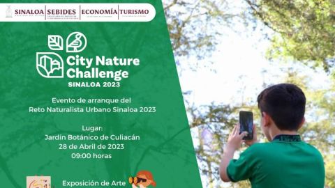 Invitan a participar en el Reto Naturalista Urbano 2023