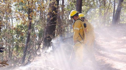Llaman a prevenir incendios forestales en Sinaloa