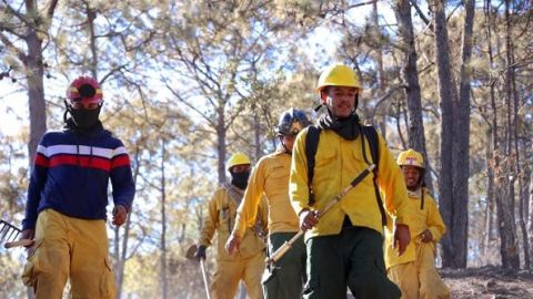 Los incendios forestales siguen dañando el ecosistema; piden extremar cuidados para no ocasionarlos