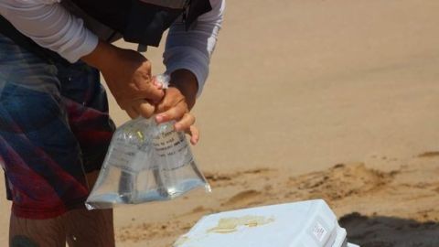 Analizan agua de Playas de Mazatlán previo al periodo vacacional