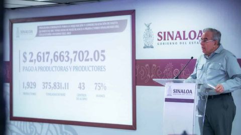 Se ha pagado al 75% de productoras y productores de Maíz en Sinaloa