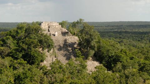 Tren Maya impulsa rescate arqueológico en el área maya mesoamericana en México