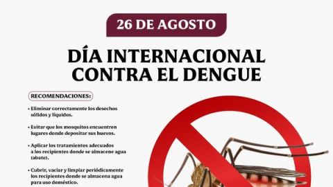 Sinaloa registra avance reduciendo la incidencia de Dengue; comparten recomendaciones