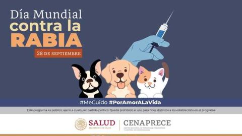 Centros de salud en México tienen tratamiento gratuito para atender rabia humana