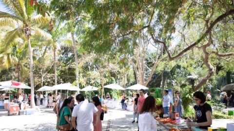 Invitan este domingo al Festival del Café y Bazar en el Jardín Botánico Culiacán