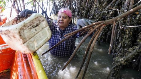 La pescadora Yanett Miranda Castro Medina es la ganadora del Premio a la Mujer Rural Sinaloense