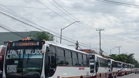Reactivan la ruta Lomita-Vallado con 8 autobuses de transporte urbano en Culiacán